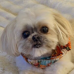 Meet your Posher, Maria